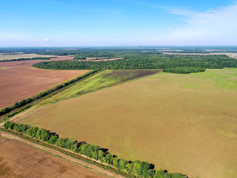 Betzner Road Farm : Beulah : Prairie County : Arkansas