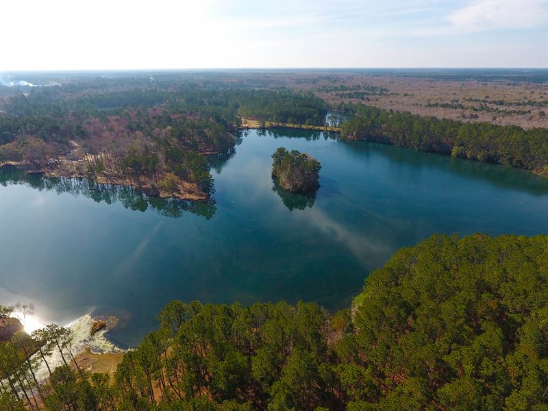 Strickland River Tract : Bloomingdale : Effingham County : Georgia