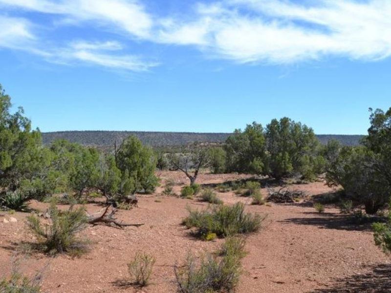 Covered in Junipers Snowflake Az, Ranch for Sale by Owner in Arizona