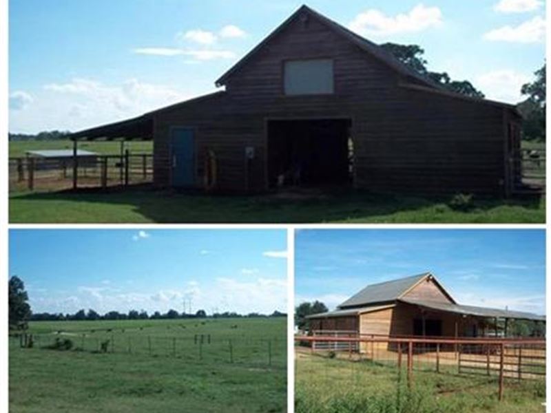 Beautiful Farm Tract in Houston Co : Perry : Houston County : Georgia