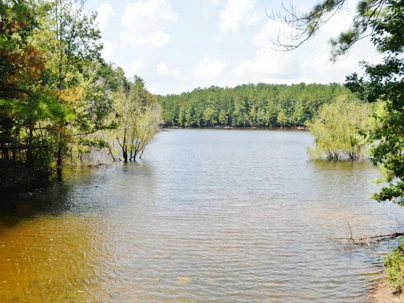Lake Front Home Hunting Property Fo : Poplarville : Pearl River County : Mississippi