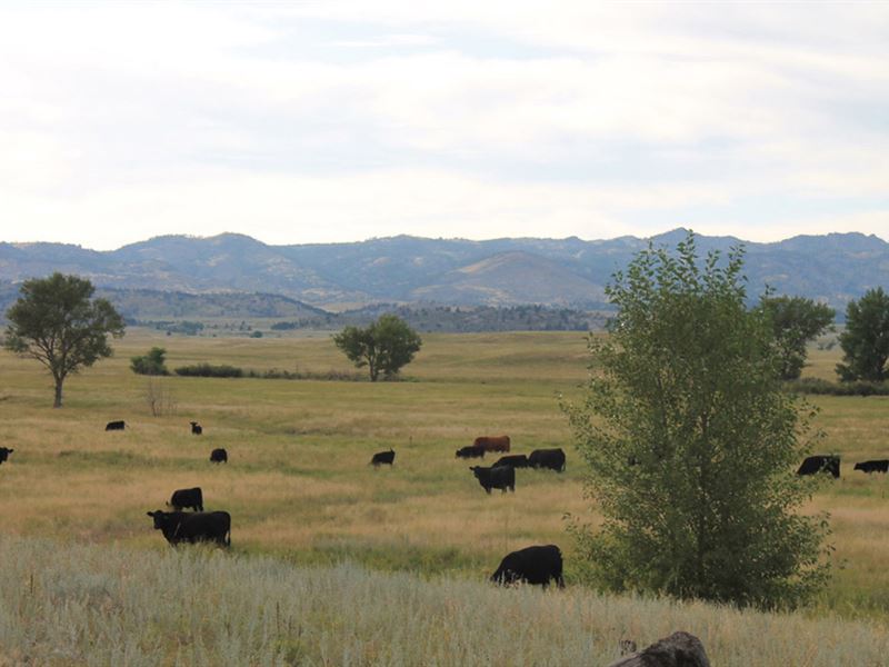 Indian Springs Ranch : Wheatland : Platte County : Wyoming