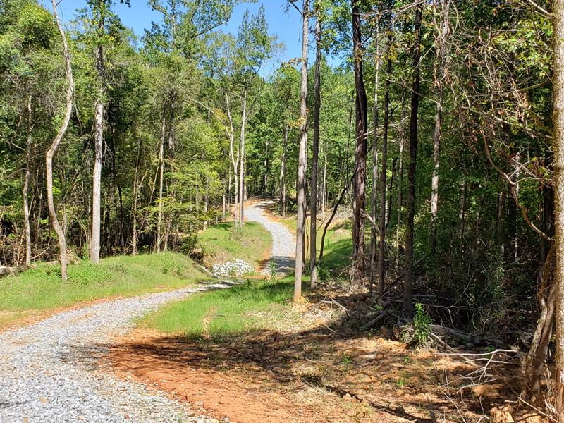 Hbu Timberland Sealed Bid Sale : Cataula : Harris County : Georgia