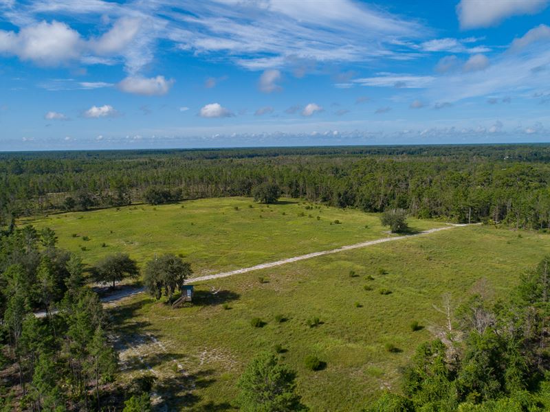 7 C's Hunting Ranch & Lodge : Cresent City : Putnam County : Florida