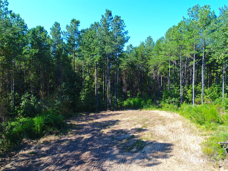 Hunting & Timber Inv in Berry, Al : Berry : Fayette County : Alabama