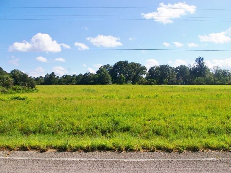 15.27 Acres Land For Sale Kentwood Ranch for Sale in Kentwood