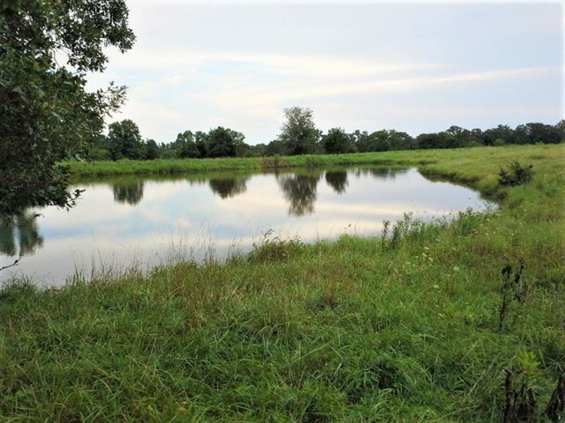 Awesome Hunting/Cattle Property : Richland : Camden County : Missouri