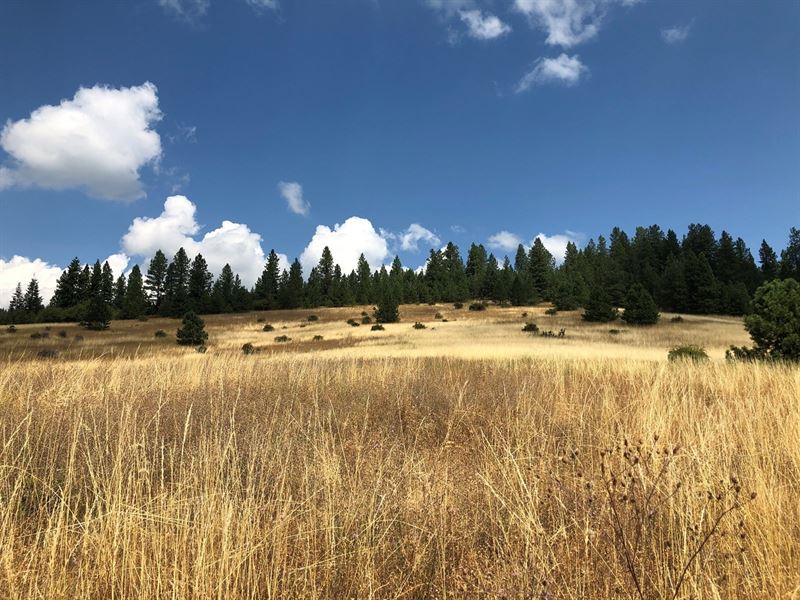 North Idaho Land Coeur D'alene, Ranch for Sale in Idaho, 215122