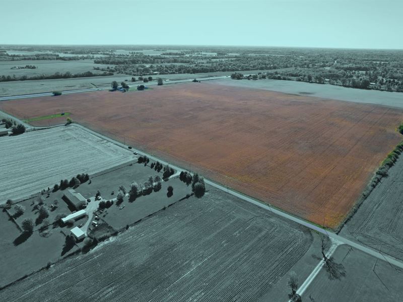 86 Tillable Acres, Madison Coun : Alexandria : Madison County : Indiana