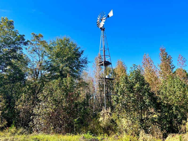 Investment Property, Great Location : Ellaville : Schley County : Georgia