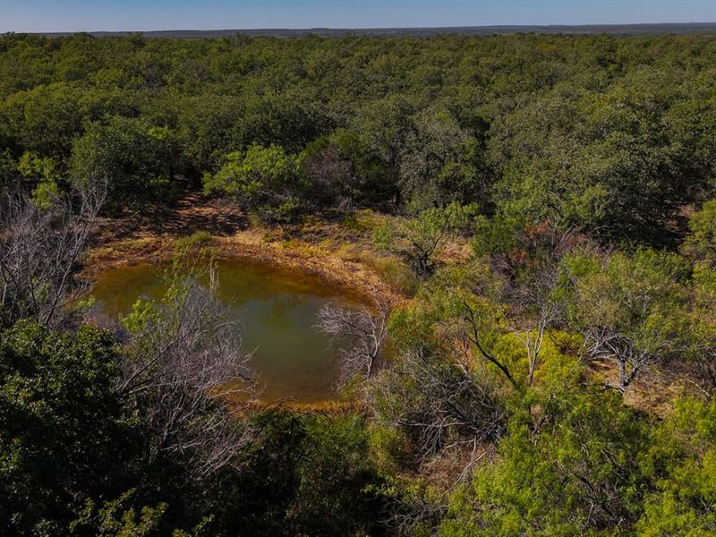 95 Acres Stephens County : Ranger : Stephens County : Texas