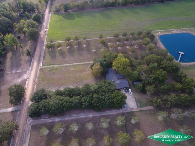 30 Ac, Custom Home On Fenced Pastu : Fort Necessity : Franklin Parish : Louisiana