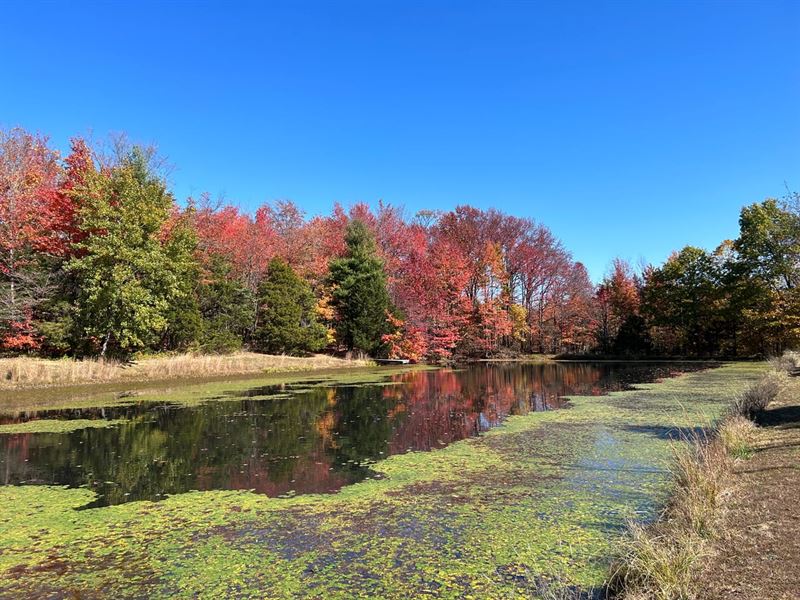 Land for Sale in Monroe County : Bloomington : Monroe County : Indiana