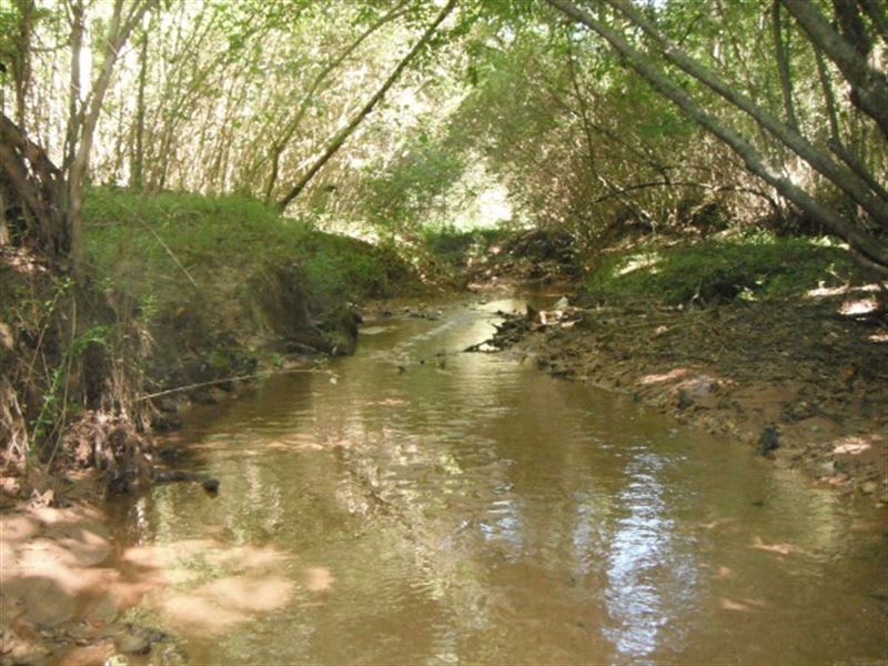 31.4 Acres, Union County, SC : Jonesville : Union County : South Carolina