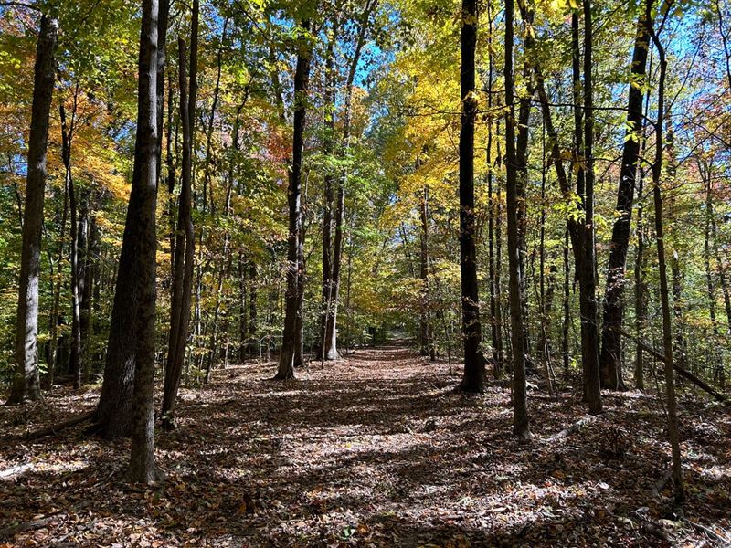 Land for Sale in Monroe County : Bloomington : Monroe County : Indiana