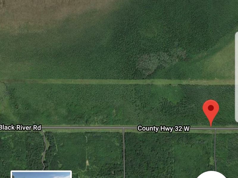 Land Loman, MN Koochiching County, Ranch for Sale in Minnesota, 215964