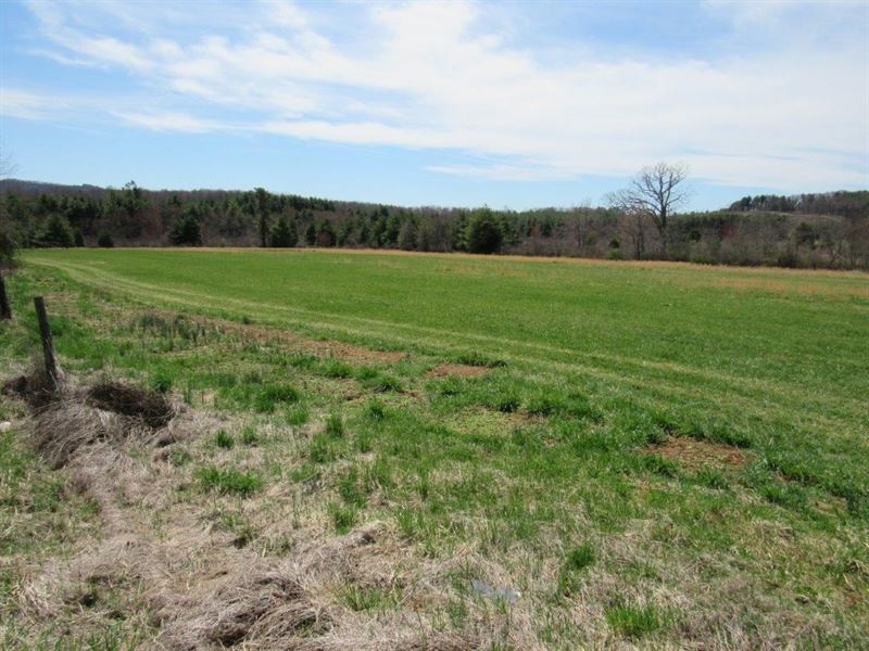 Farm Land for Sale in Floyd VA, Ranch for Sale in Virginia, 215993