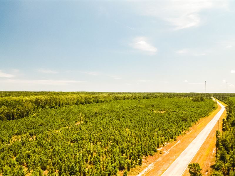 58 Ac Near Deepwater At Shellman : Darien : McIntosh County : Georgia