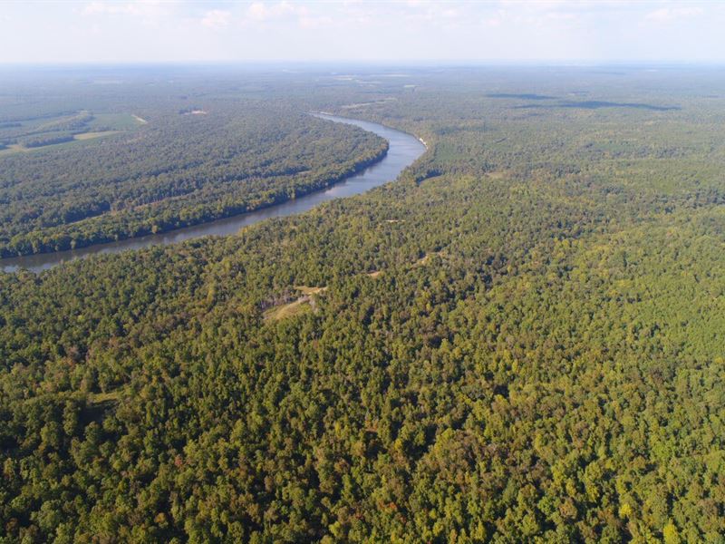 Elm Bluff Plantation, Alabama River : Selma : Dallas County : Alabama