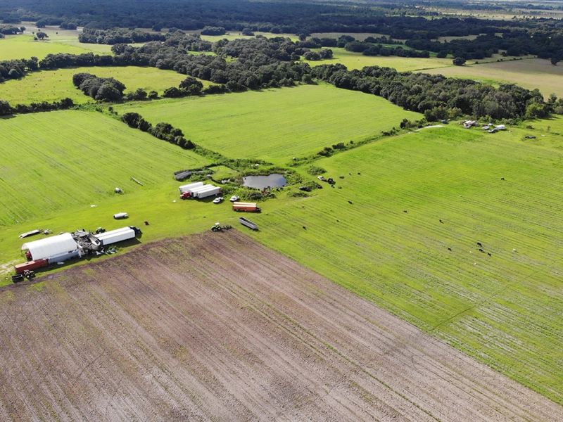 95 acres zolfo springs fl, hwy 17 : ranch for sale in