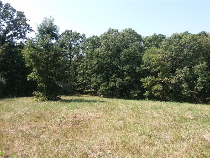 40 Acres Hunting Land Kirksville, Ranch for Sale in Missouri, 216260