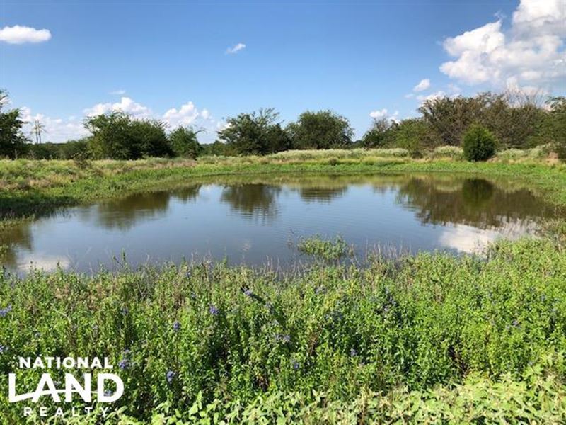 11.75 Acres Pond, Large Trees, Grea : Mabank : Kaufman County : Texas