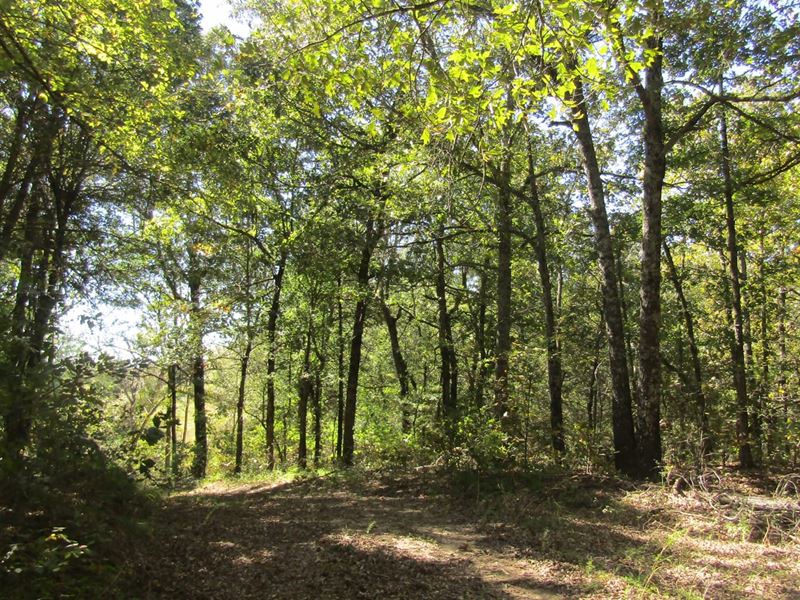 Muddy Boggy Recreational Hunting Ch : Soper : Choctaw County : Oklahoma