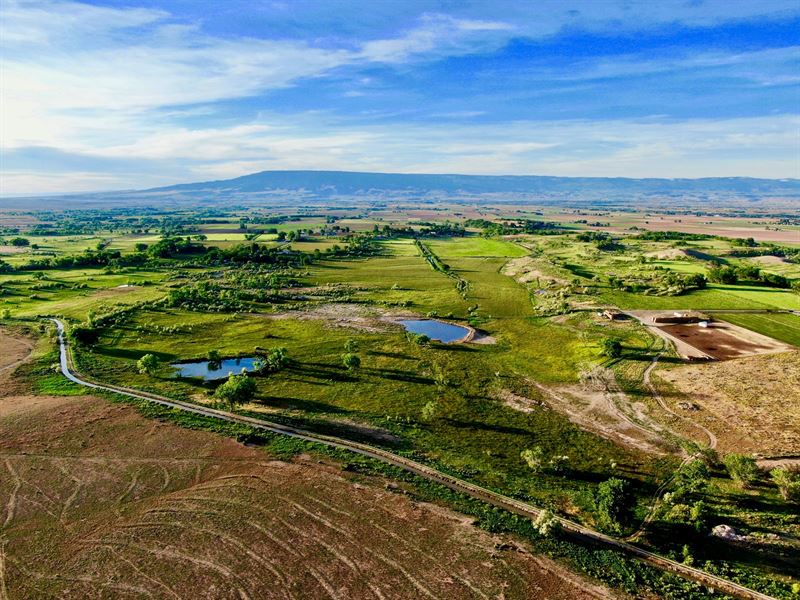 Colorado Cattle Ranch Borders Blm, Ranch for Sale in Colorado, 216496