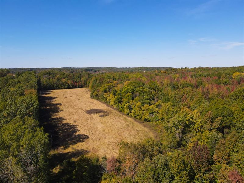 65 Acres in Advance, MO : Advance : Bollinger County : Missouri