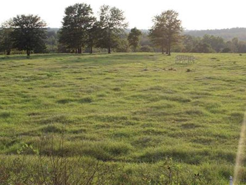 Beautiful Farm in Peach County, Ranch for Sale in 216623