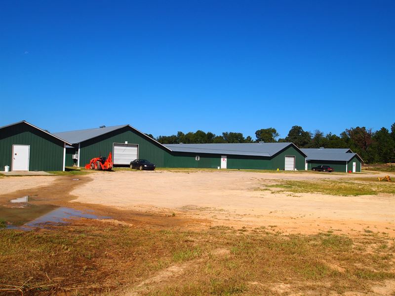 4 House Poultry Breeder Farm : Salley : Aiken County : South Carolina