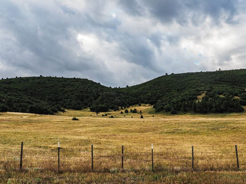 homes for sale in chama nm