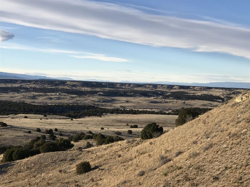 Parcel 28Hatchet Ranch, Ranch for Sale in Colorado, 216835 RANCHFLIP