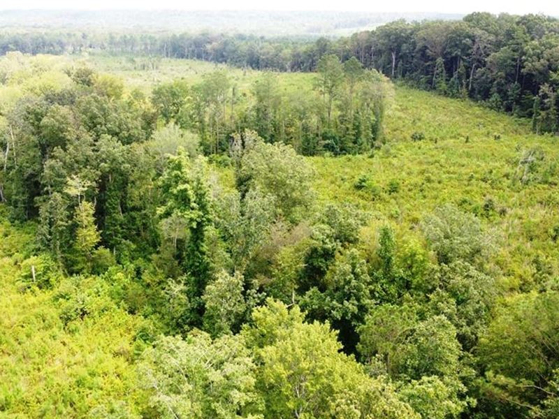 Tishomingo State Park Tract : Tishomingo : Tishomingo County : Mississippi