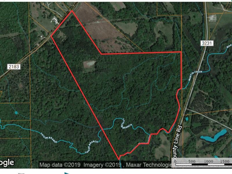 East Texas Hunting Land Tatum TX : Tatum : Rusk County : Texas