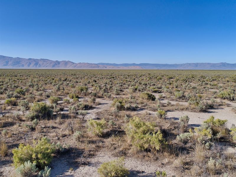 160 Acre Hemp Farm Pro : Herlong : Lassen County : California