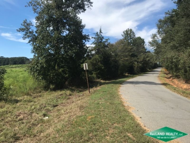 130.7 Ac, Pasture with Home Site : Ruston : Lincoln Parish : Louisiana