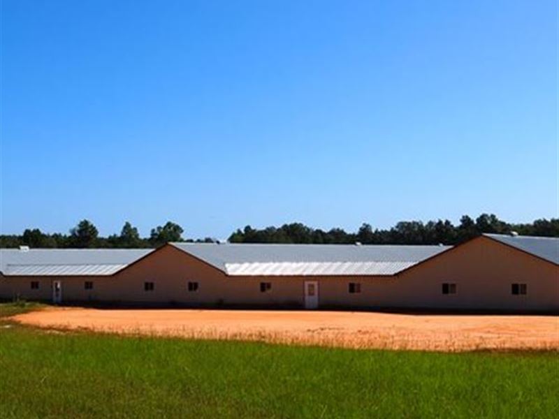 4 House Poultry Breeder Farm : Williston : Barnwell County : South Carolina