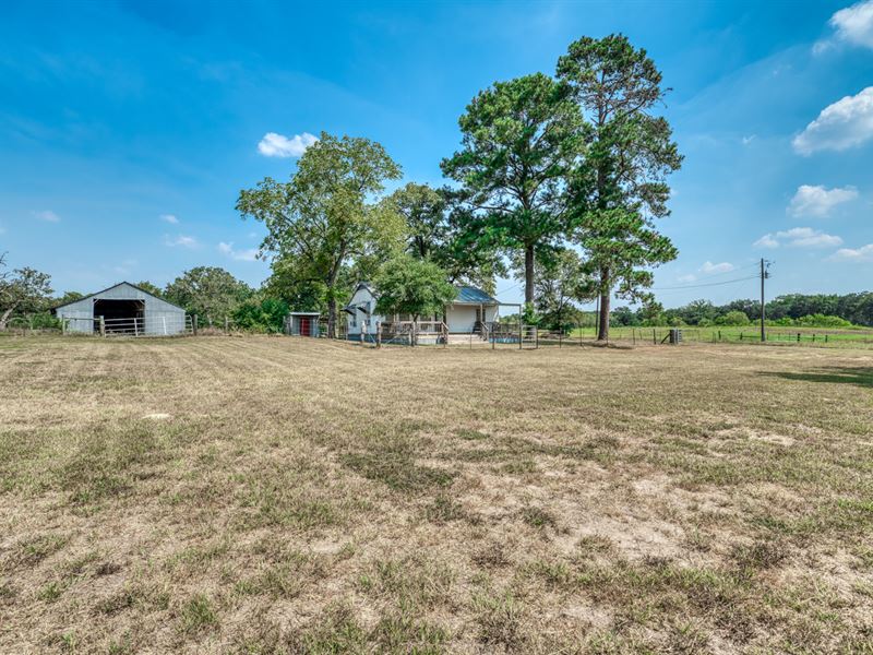 532 Acres in Normangee, Ranch for Sale in Texas, 217307 RANCHFLIP