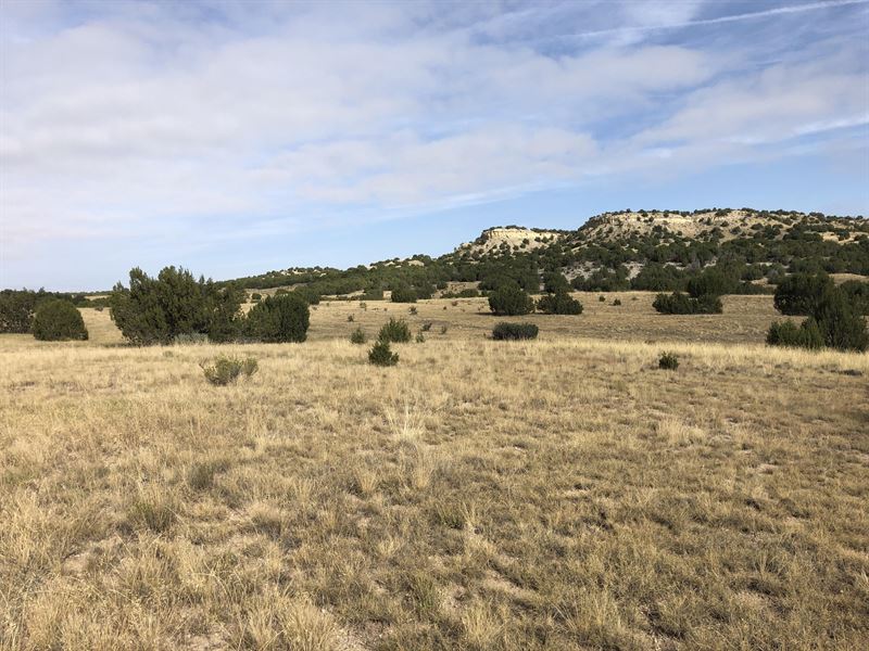 Red Creek Ranch Bronquist, Ranch for Sale in Colorado, 217367 RANCHFLIP