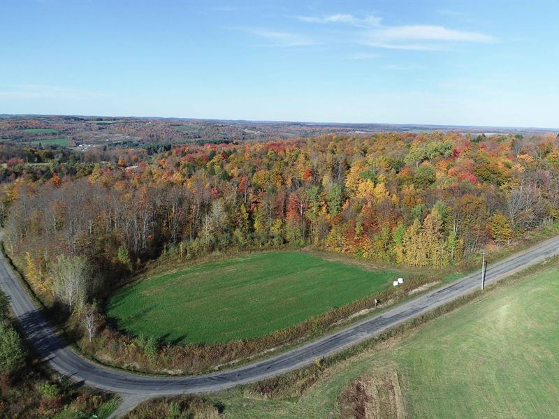 Very Scenic Recreational Gem Piece : Richford : Tioga County : New York