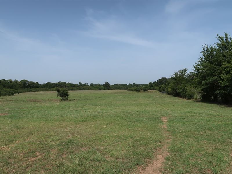 164 Acres in Normangee, TX : Normangee : Leon County : Texas