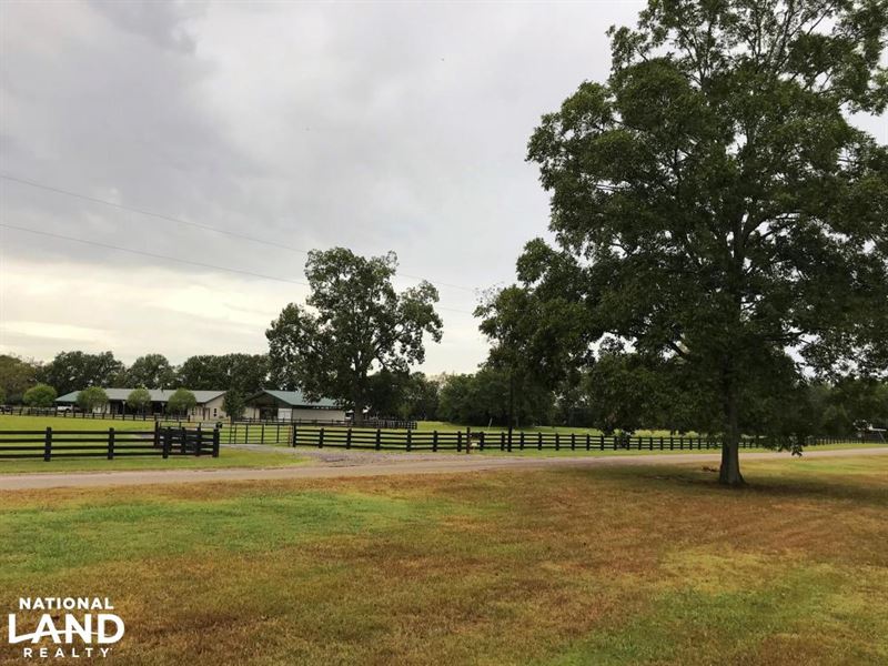 Bodark Ranch on Black River Lake, Ranch for Sale in Louisiana, 217875