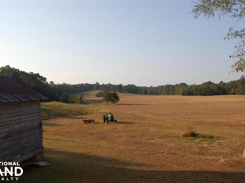 Tula Farm and Ranch : Oxford : Lafayette County : Mississippi