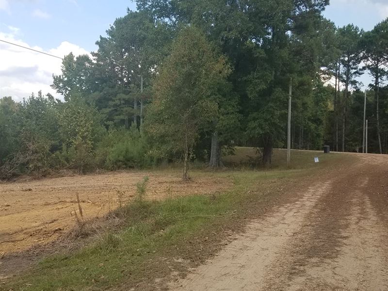 23 Acres New Hope Road Joins : Gloster : Amite County : Mississippi