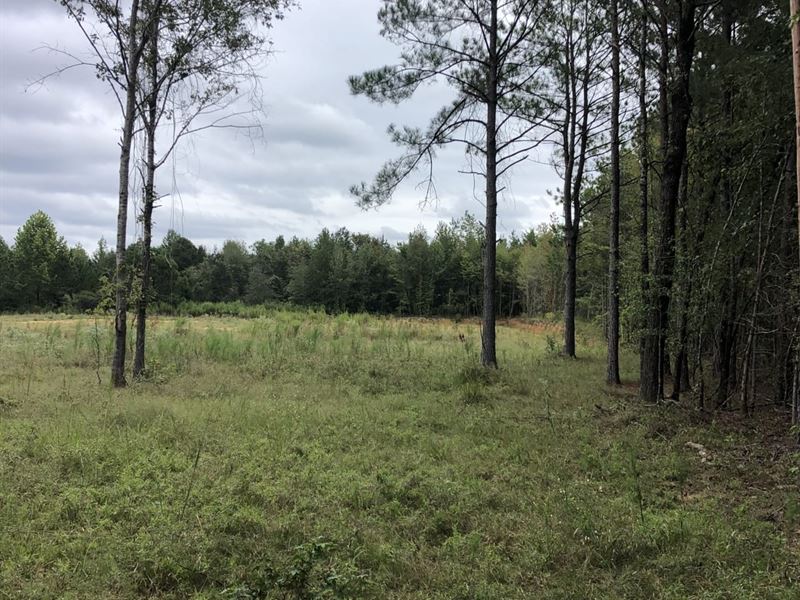 Medlock 130, Columbia County Ar, 13 : Stephens : Ouachita County : Arkansas