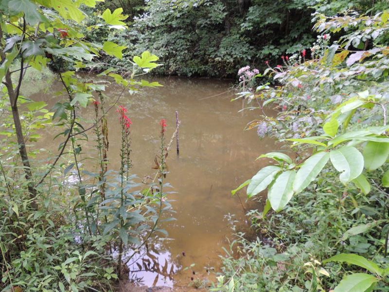 100 Acres W Pond for Only 49,900 : Honaker : Russell County : Virginia