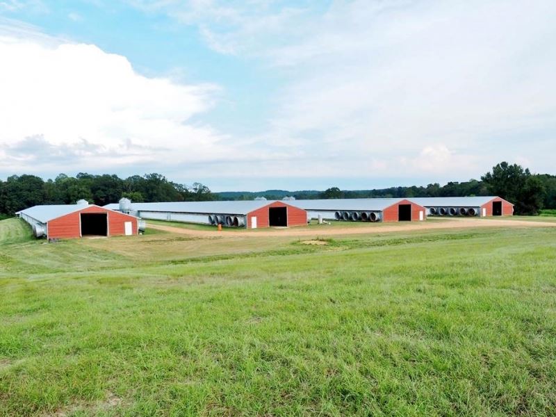 Poultry Broiler Farm with Natural : Monticello : Lawrence County : Mississippi