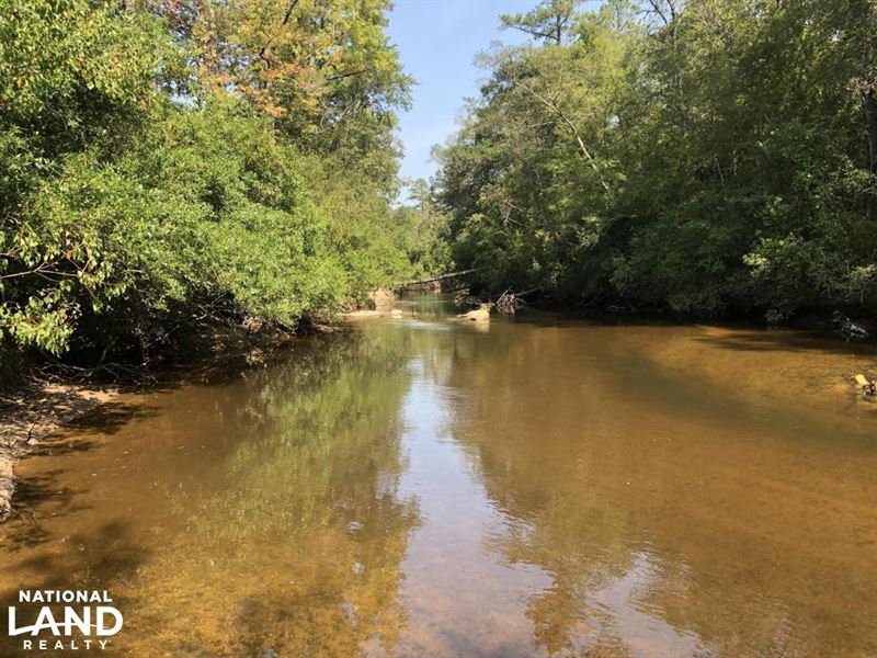 Homesite with Pond on Black Creek : Hattiesburg : Forrest County : Mississippi