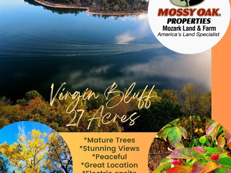 Virgin Bluff Lake Property : Galena : Stone County : Missouri